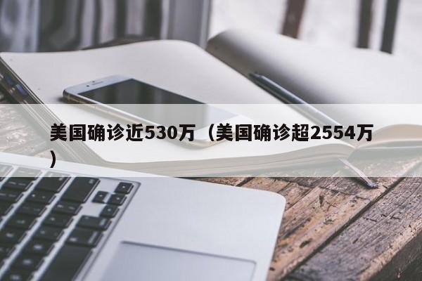 美国确诊近530万（美国确诊超2554万）